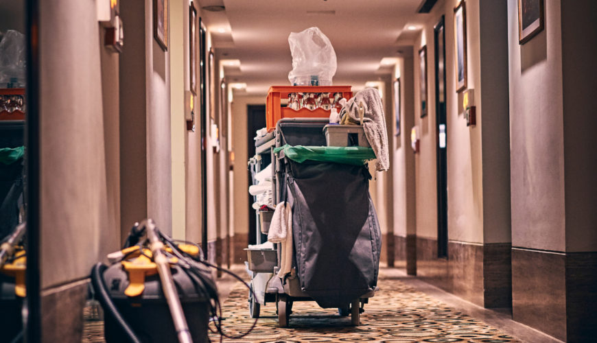 Carpet Cleaning Services